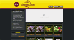 Desktop Screenshot of beykentesans.com